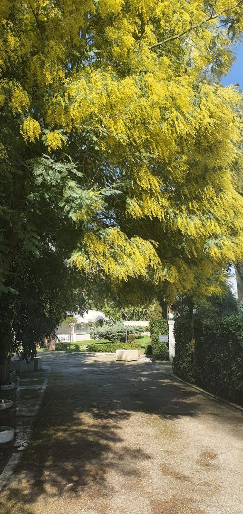 Hotel Mediterraneo Qualiano Zewnętrze zdjęcie